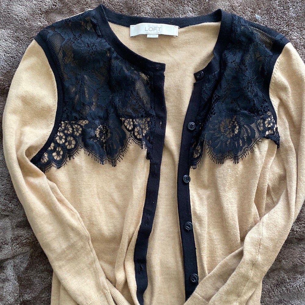 Ann Taylor loft sweater XS brown with black trim and lace at collar. EUC OBO